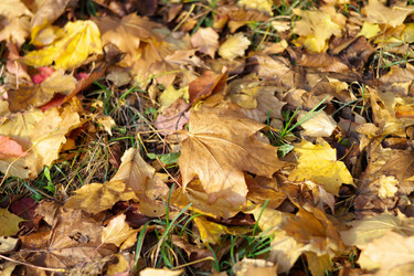 Similar image 10053304