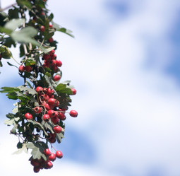 Similar image 10053312