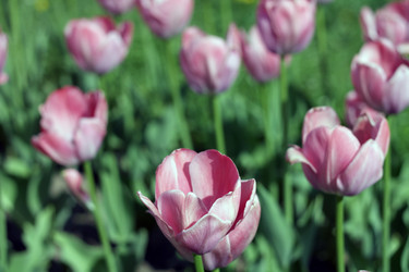 Similar image 10053314