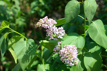 Similar image 10053324