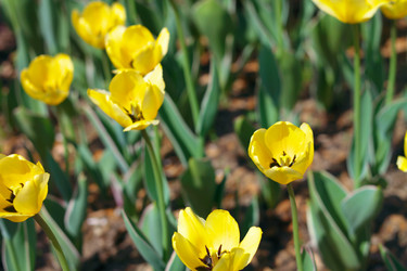 Similar image 10053331