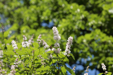 Similar image 10053488