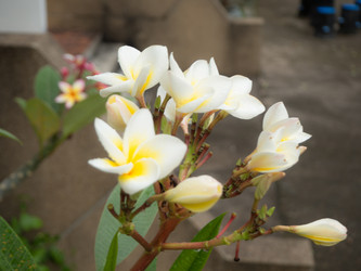 Similar image 10053530