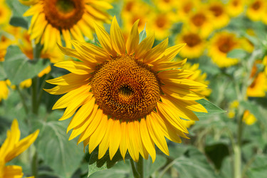 Similar image 10053617