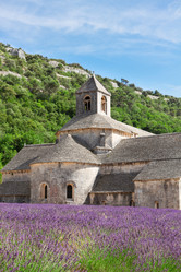 Similar image 10053622