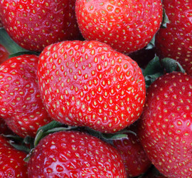 Similar image 10053708