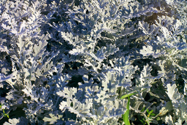 Similar image 10053808