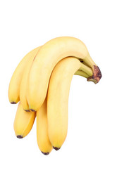 Similar image 10053819