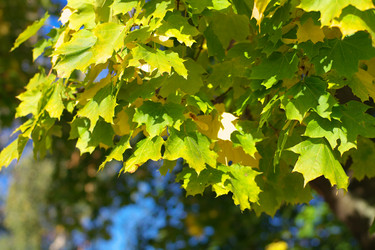 Similar image 10053824