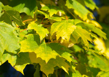 Similar image 10053825