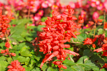 Similar image 10053935