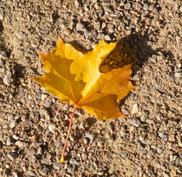 Similar image 10053938