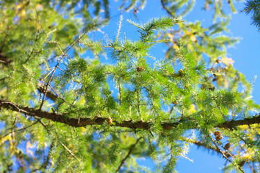 Similar image 10053940