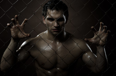 Similar image 10054493