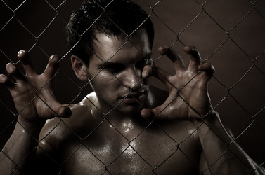 Similar image 10055989