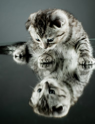 Similar image 10056271