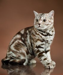 Similar image 10056272