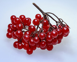 Similar image 10057215