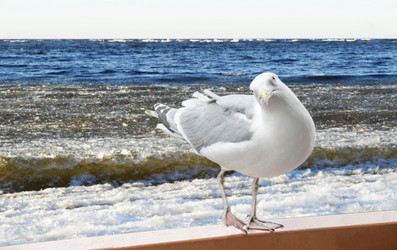 Similar image 10059229