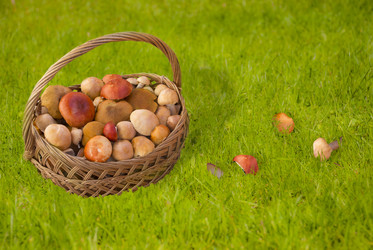 Similar image 10059231