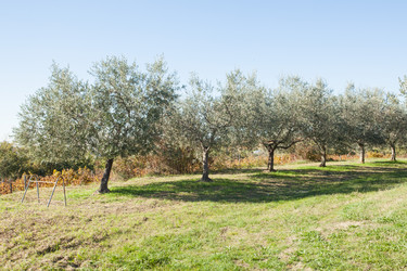 Similar image 10059306