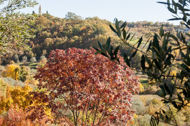 Similar image 10059308