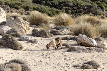 Similar image 10060213