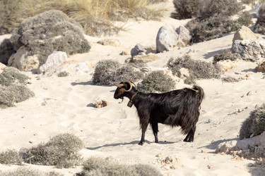 Similar image 10060216