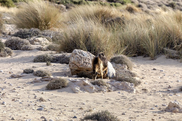 Similar image 10060218