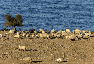 Similar image 10060420