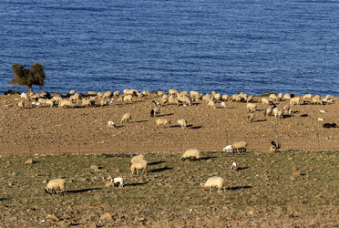 Similar image 10060423