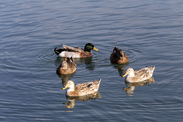 Similar image 10060425