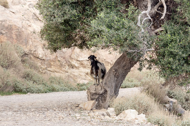 Similar image 10060429