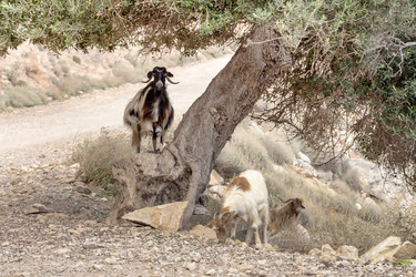 Similar image 10060819