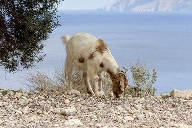 Similar image 10060821