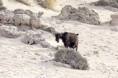 Similar image 10060823