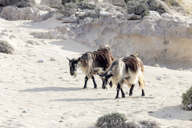 Similar image 10060825