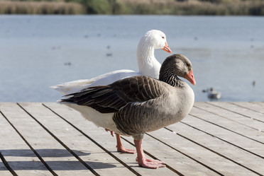 Similar image 10061438