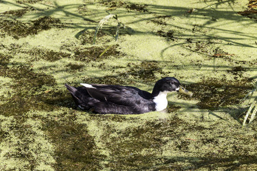 Similar image 10061441