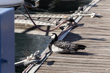 Similar image 10062260