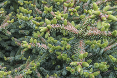 Similar image 10066393