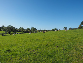 Similar image 10067170