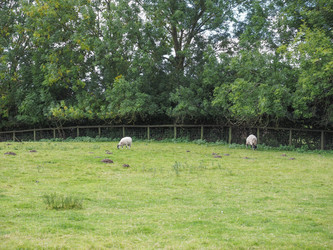 Similar image 10067935