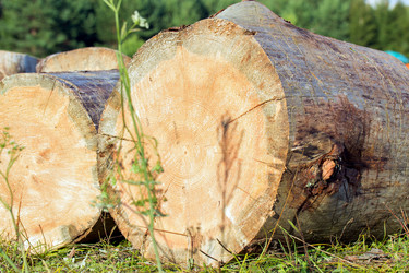 Similar image 10068894