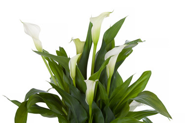 Similar image 10071054