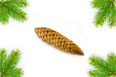 Similar image 10071184