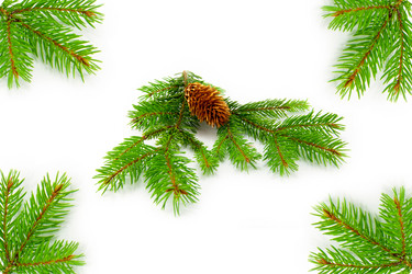 Similar image 10071189