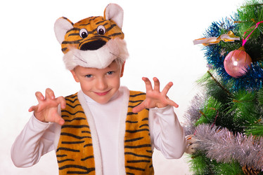 Similar image 10071376