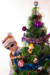 Similar image 10071382