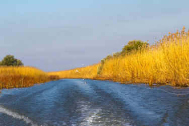 Similar image 10071594